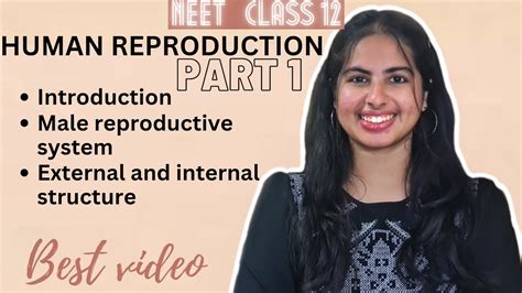 Human Reproduction Part 1 Neet Class 12 Male Reproductive System Palak Narang Youtube