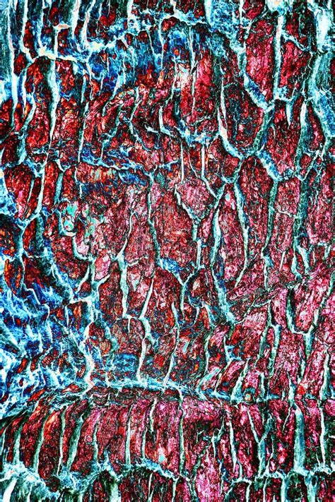 Rough Old Natural Oak Bark Changed Color Scheme Stock Image Image