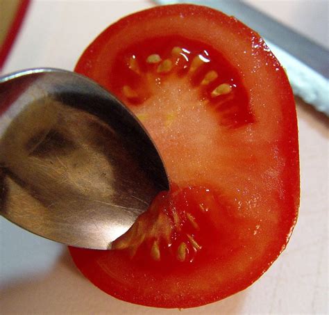 Comment R Colter Ses Graines De Tomates En Tapes Petit Potager Bio