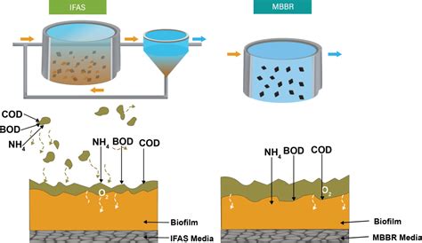 Ifas Process Hybrid Process Levapor