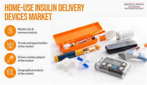 Home Use Insulin Delivery Devices Industry Was Dominated By North