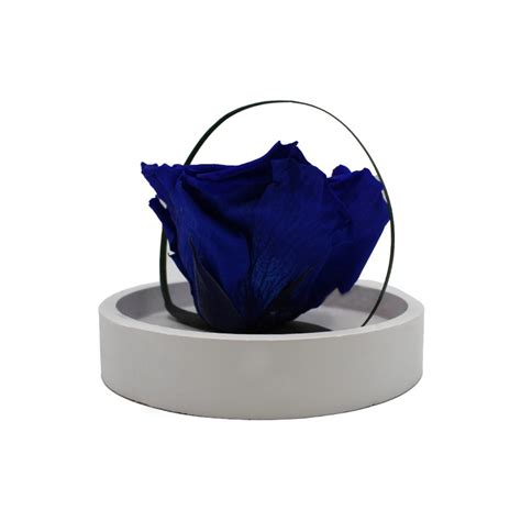 Ars Nova Rosa Incantata Blu Senza Stelo Idea Fiori