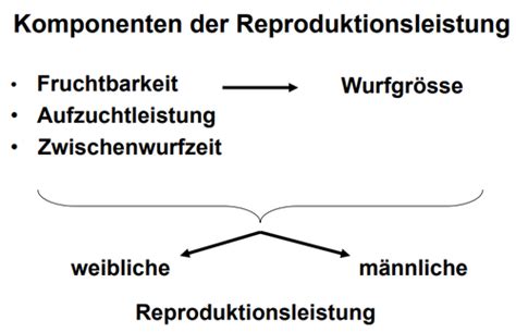 Tierzucht 3 Quantitative Merkmale Karteikarten Quizlet