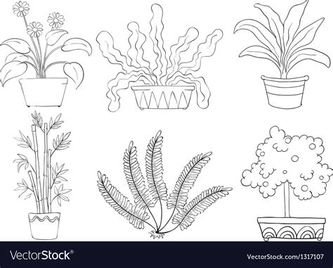 Silhouettes Of Different Shrubs Royalty Free Vector Image