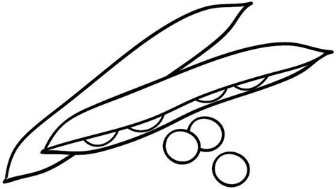 Coloring Pages Of Fruits And Vegetables