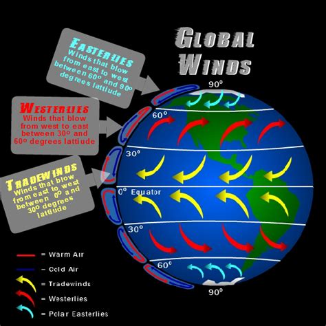 Global Winds Diagram | Quizlet