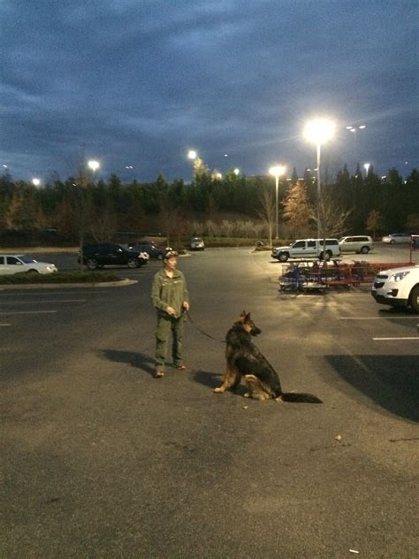 Untitled Georgia K9 Ntc Flickr