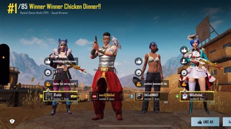 Bgis Round Qualified Kill Chicken Dinner Team Das