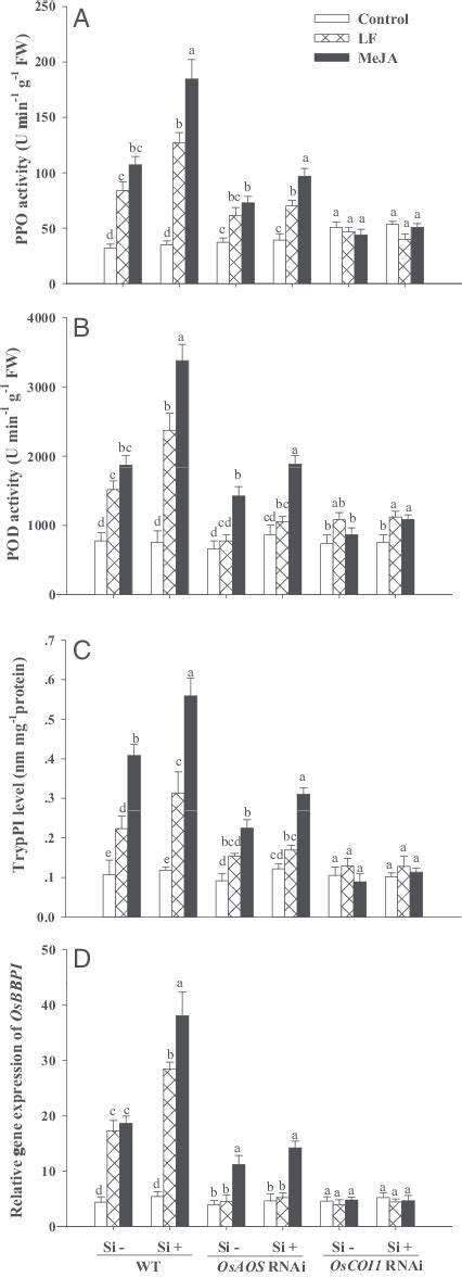 Activity Levels Of PPO A POD B And TrypPI C And Steady State