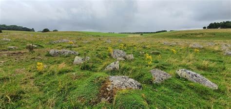 Fyfield Down Wiltshire Rebecca A Wills Geograph Britain And Ireland