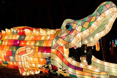 Don't Miss This Brand New Winter Lantern Festival In Georgia