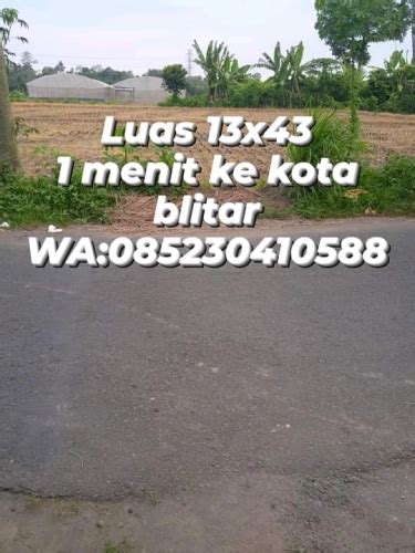 Dijual Tanah Persawahan Tanah Dijual Di Kabupaten Blitar