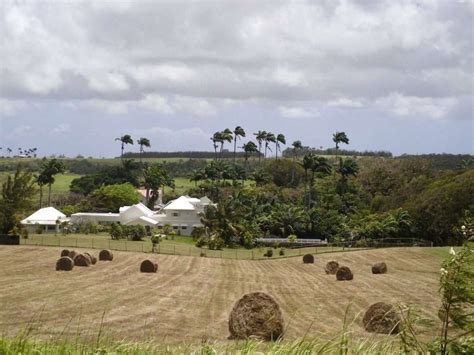 Barbados Plantations And Sugar Works 1912 1924 Bajanthings