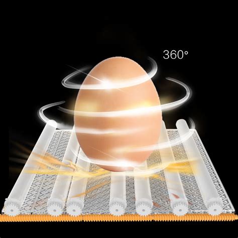 Egg Incubator Eggs Fully Digital Automatic Hatcher Fits Hatching