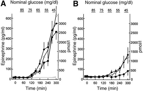 Plasma Epinephrine Concentrations Means Se During Morning