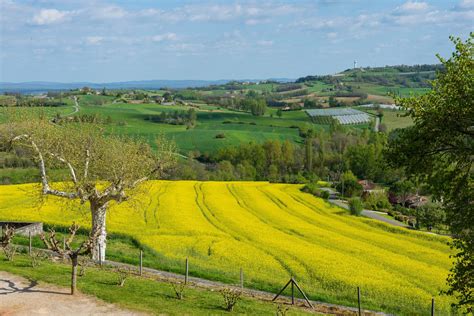 Quercy Caussadais At A Glance Tourisme Quercy Caussadais