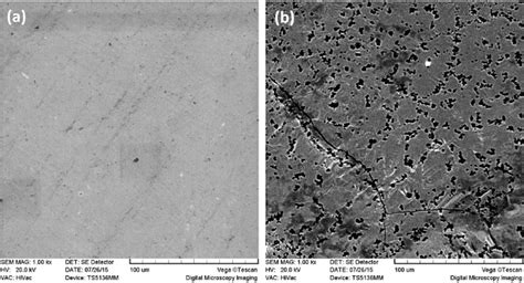 Sem Micrography Of The Corroded Surfaces A Uncoated Niti And B N