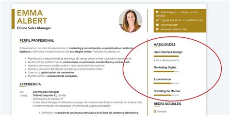 ¿cómo Redactar Tus Habilidades En El Currículum
