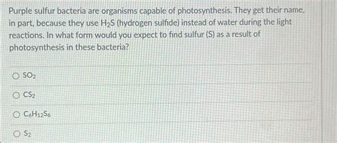 Solved Purple Sulfur Bacteria Are Organisms Capable Of