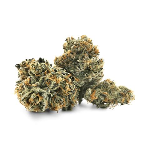 Buy Pistol And Paris Hawaiian Fanta Online Arcannabis