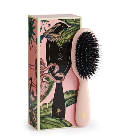 Fan Palm Hair Brush Paradise Small Freshhair