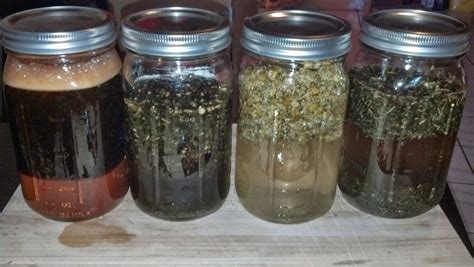 How To Make An Herbal Extract Tincture Easy Step By Step Guide