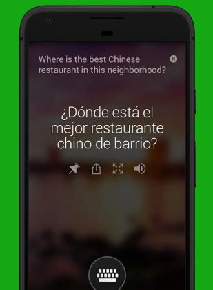 Best Offline Translator Apps That Work Flawlessly