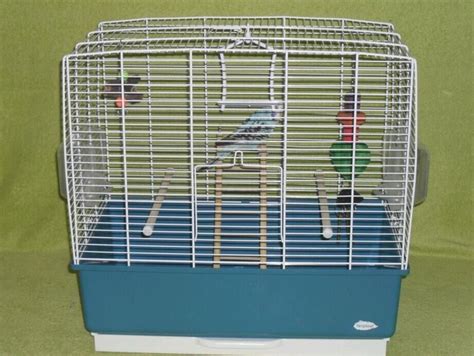 Blue budgie with cage | in Charlton, London | Gumtree