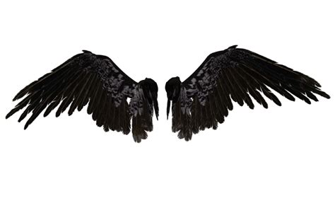 Wings Hd Png Transparent Wings Hdpng Images Pluspng