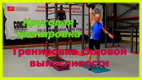 Комплекс упражнений для всего тела. Тренировка выносливости и силы ...