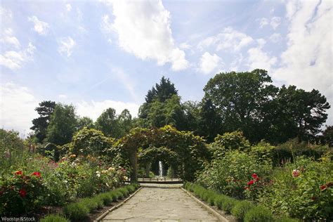 Peckham Rye Park London Park Domesday Book