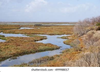 California Wetland: Over 5.528 Royalty-Free Licensable Stock Photos ...