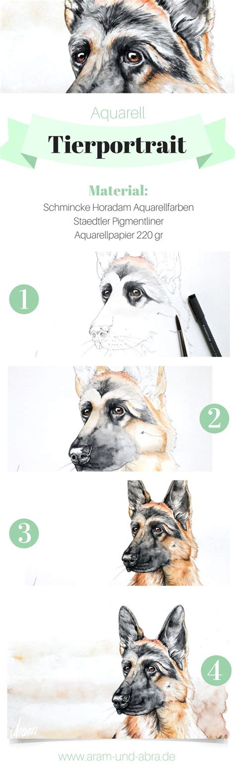 Illustrationen Und Portraits Hund Malen Portrait Zeichnen Hund Zeichnen