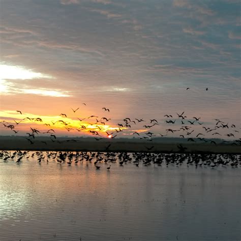 Atardecer Albufera Paseos En Barca Por La Albufera