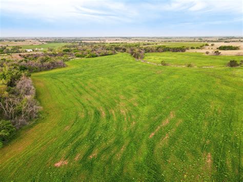 FARMLAND FOR SALE GRADY COUNTY OKLAHOMA HUNTING PROPERTY OK Auctions