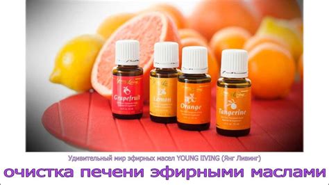 Эфирные масла YOUNG lIVING (Янг Ливинг) Очистка печени - YouTube