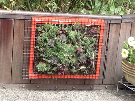 Vertical Succulent Garden