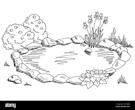 Pond Graphic Black White Landscape Sketch Illustration Vector Stock