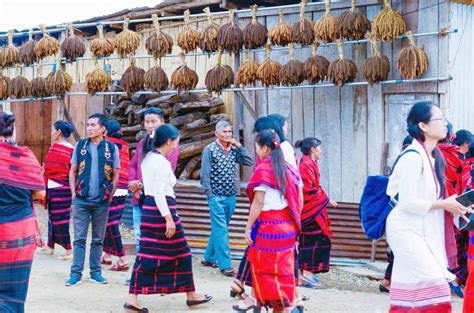 Millet Festival ‘revitalizing Millet Based Biodiversity