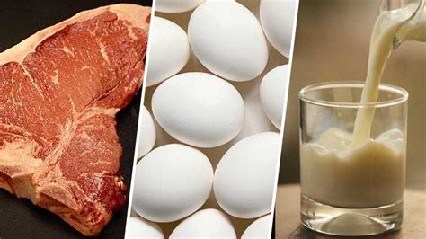 Fao Destaca A La Carne Los Huevos Y La Leche Como Alimentos Que