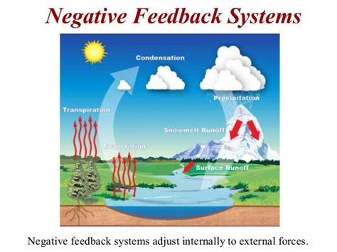 Natural Disasters Topic 2 Geological Systems