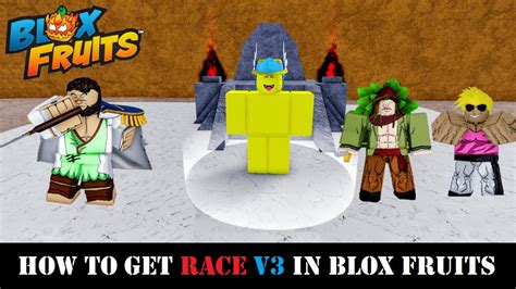 How To Get Race V3 In Blox Fruits Human Race V3 Upgrade Arowes