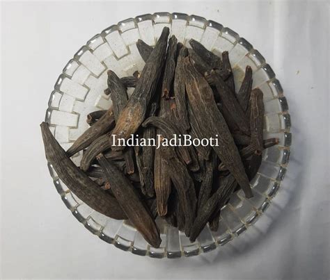 Marathi Moggu Kapok Buds Latest Price Manufacturers And Suppliers