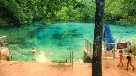 Explore Bright Blue Swimming Holes With Florida Wildlife At This