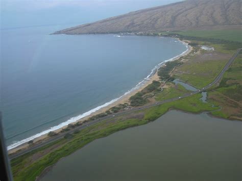 starr-041228-0014-Batis_maritima-habitat-Kealia-Maui | Flickr