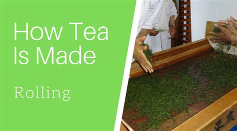 How Tea Is Made Rolling The Journey From Leaf To Cup