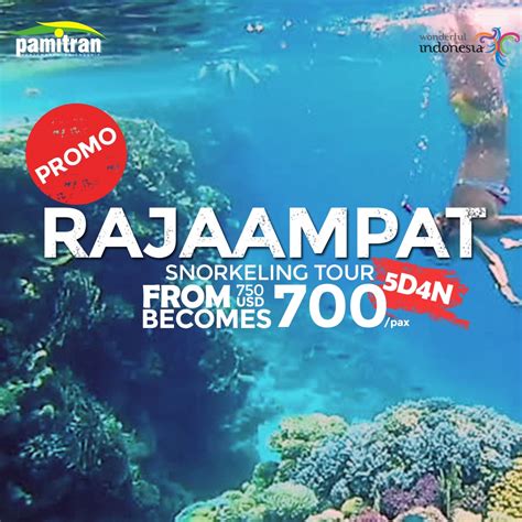 5d4n Raja Ampat Snorkeling Tour North Raja Ampat Pamitran Tours