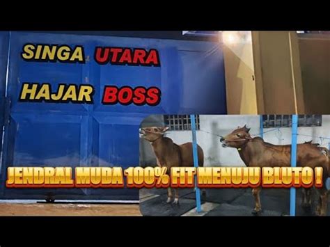 JENDRAL MUDA HAJAR BOSS SIAP MENUJU EVENT DI BLUTO TANGGAL 6 7 JANUARI