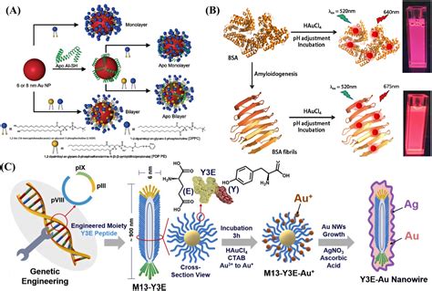 Biomimetic Gold Nanomaterials For Biosensing Bioimaging And Biotherapy A Mini Review Sensors