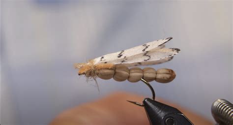 Instructional Fly Tying Spongy Moth Formerly Known As The Gypsy Moth